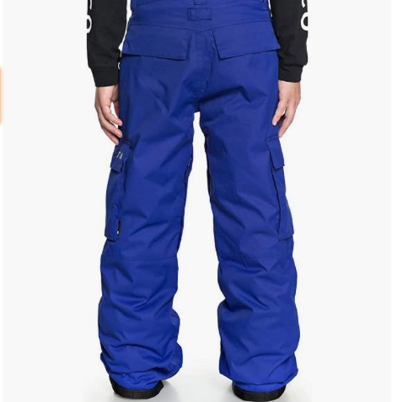 DC Snow / Snowboard /Ski Banshee Pants. Blue Orange, US L 12, or Adult Sm - Picture 2 of 11